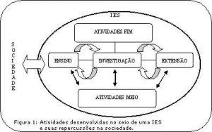 Figura representando um esquema das atividades desenvolvidas nas IES